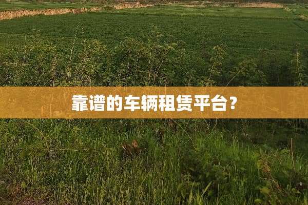 靠谱的车辆租赁平台？