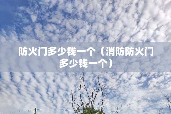 防火门多少钱一个（消防防火门多少钱一个）