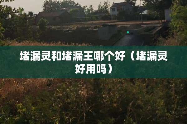 堵漏灵和堵漏王哪个好（堵漏灵好用吗）