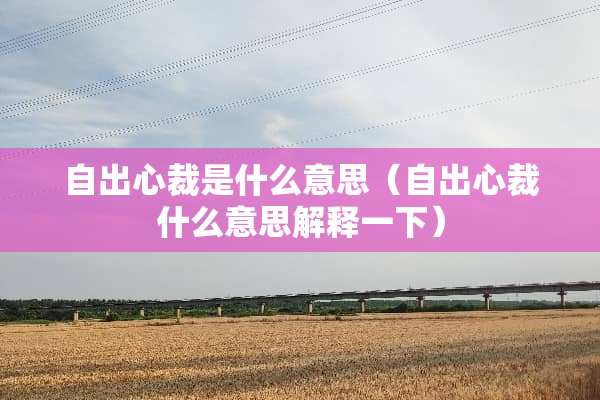 自出心裁是什么意思（自出心裁什么意思解释一下）