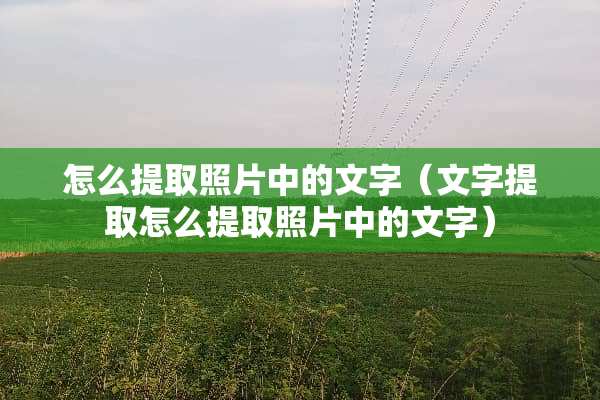 怎么提取照片中的文字（文字提取怎么提取照片中的文字）