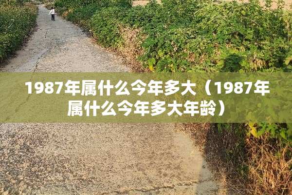 1987年属什么今年多大（1987年属什么今年多大年龄）