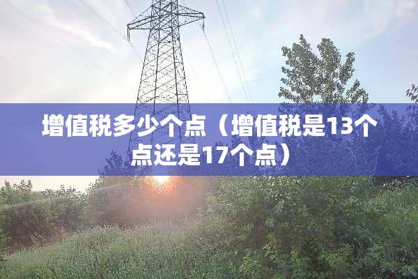 ***多少个点（***是13个点还是17个点）