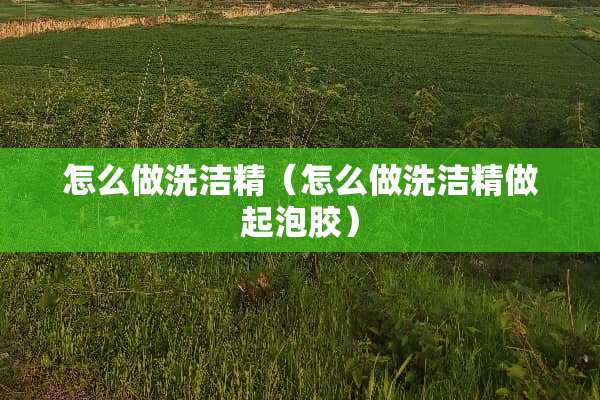 怎么做洗洁精（怎么做洗洁精做起泡胶）