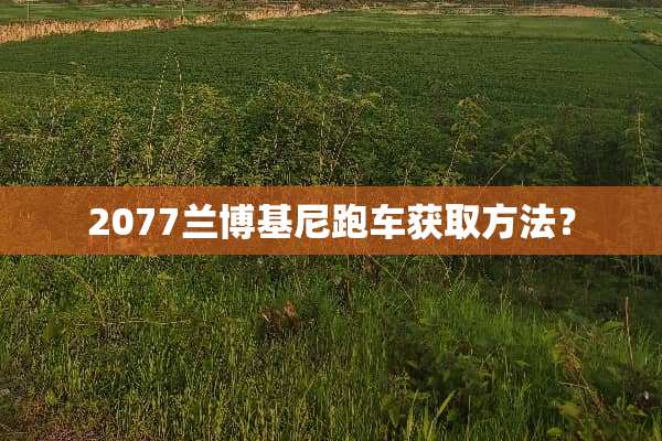 2077兰博基尼跑车获取方法？