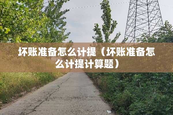 坏账准备怎么计提（坏账准备怎么计提计算题）