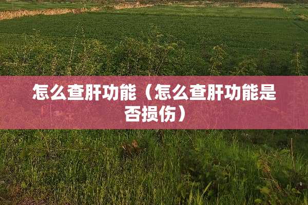 怎么查肝功能（怎么查肝功能是否损伤）