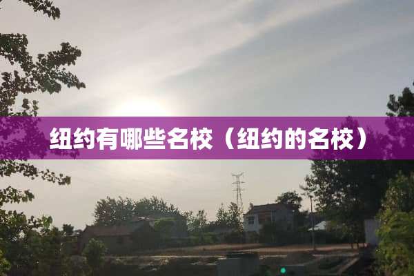 纽约有哪些名校（纽约的名校）