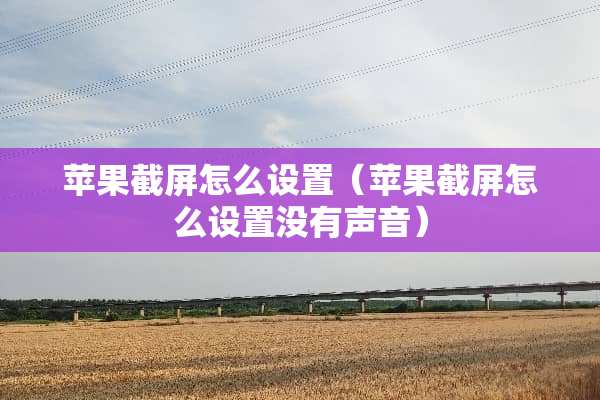 苹果截屏怎么设置（苹果截屏怎么设置没有声音）