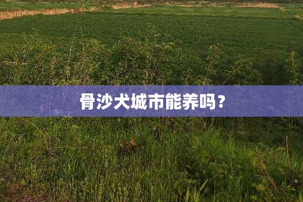 骨沙犬城市能养吗？