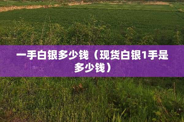 一手白银多少钱（现货白银1手是多少钱）