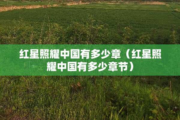 红星照耀中国有多少章（红星照耀中国有多少章节）