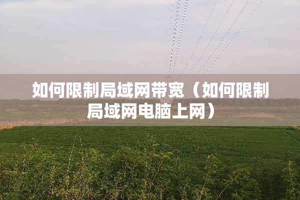 如何限制局域网带宽（如何限制局域网电脑上网）