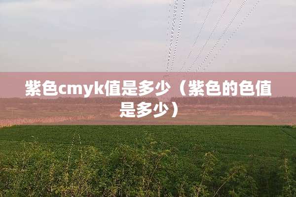 紫色cmyk值是多少（紫色的色值是多少）