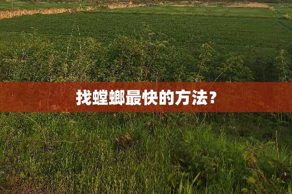找螳螂最快的方法？