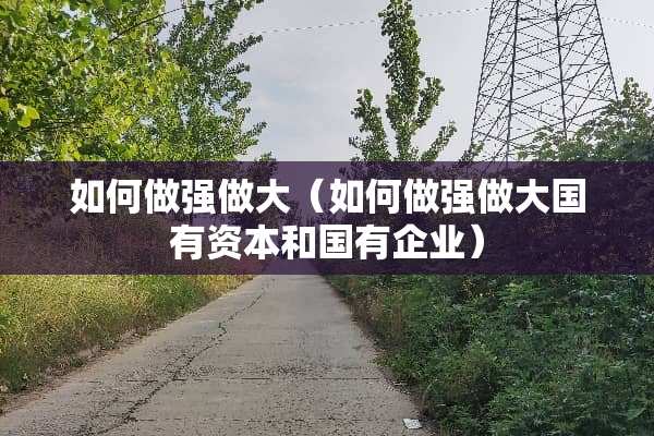 如何做强做大（如何做强做大国有资本和国有企业）