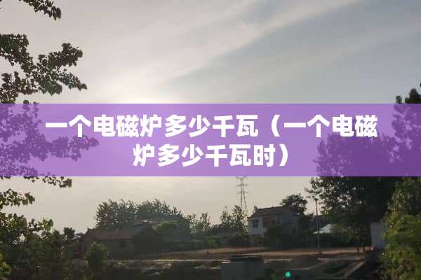 一个电磁炉多少千瓦（一个电磁炉多少千瓦时）