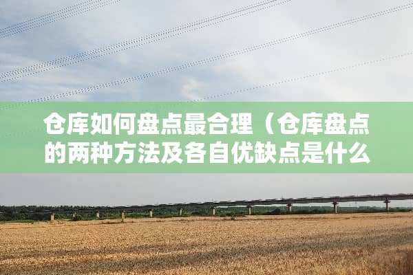仓库如何盘点最合理（仓库盘点的两种方法及各自优缺点是什么?）