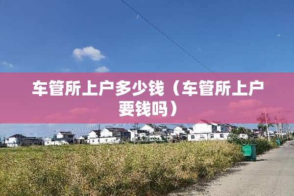 车管所上户多少钱（车管所上户要钱吗）