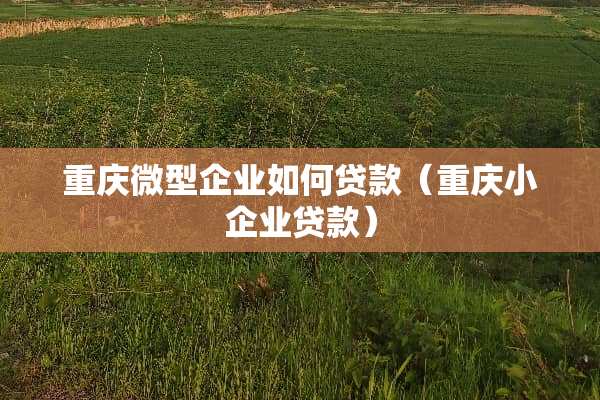 重庆微型企业如何贷款（重庆小企业贷款）
