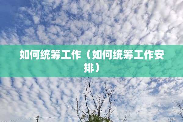 如何统筹工作（如何统筹工作安排）