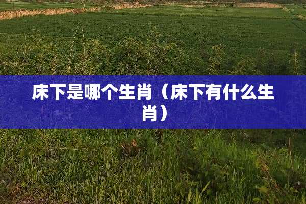 床下是哪个生肖（床下有什么生肖）
