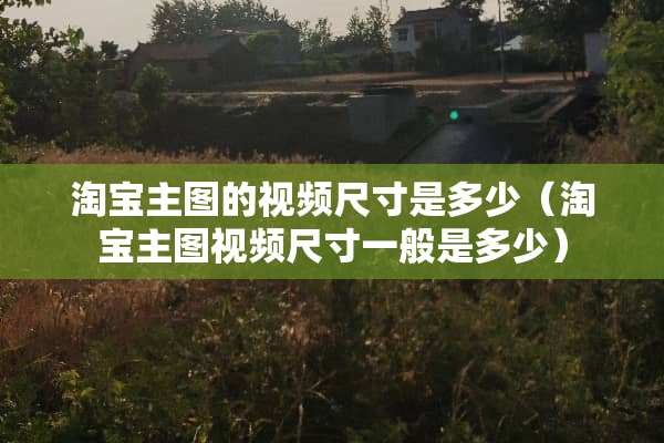 淘宝主图的视频尺寸是多少（淘宝主图视频尺寸一般是多少）
