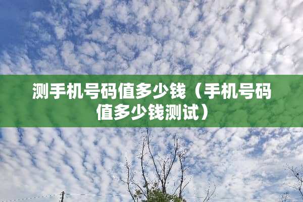 测手机号码值多少钱（手机号码值多少钱测试）