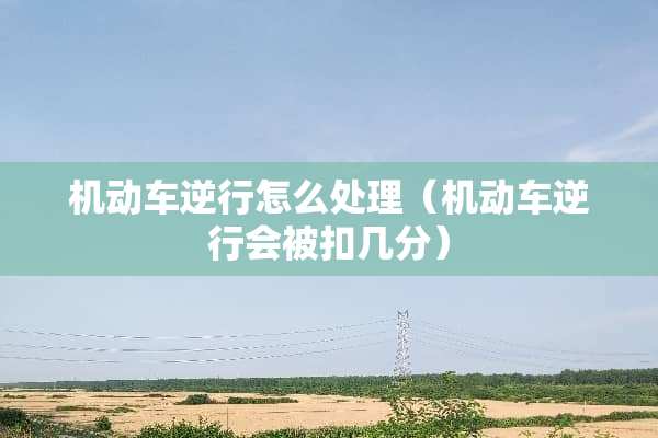机动车逆行怎么处理（机动车逆行会被扣几分）