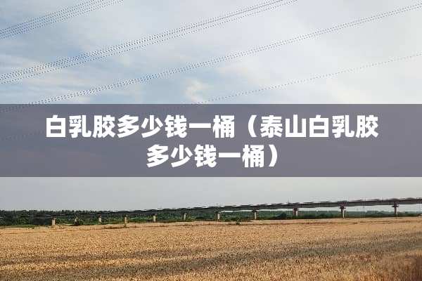 白*胶多少钱一桶（泰山白*胶多少钱一桶）