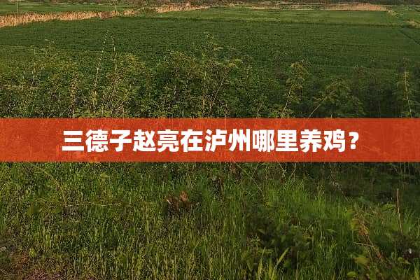 三德子赵亮在泸州哪里养鸡？