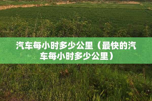 汽车每小时多少公里（最快的汽车每小时多少公里）