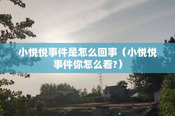 小悦悦事件是怎么回事（小悦悦事件你怎么看?）