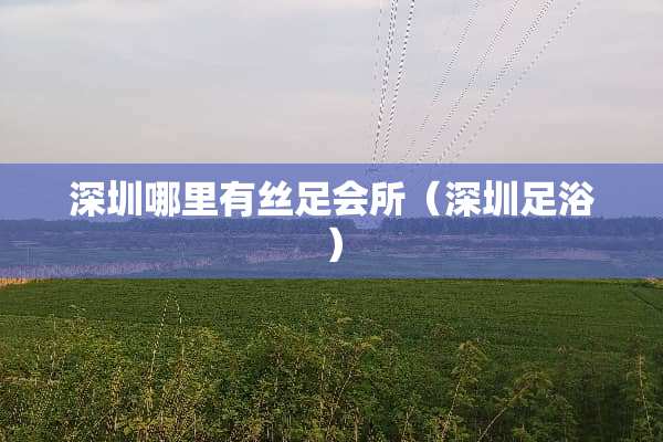 深圳哪里有丝足会所（深圳**）