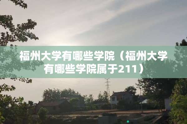 福州大学有哪些学院（福州大学有哪些学院属于211）