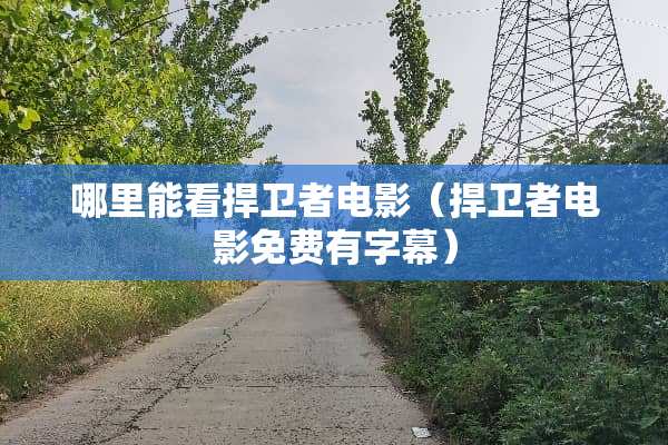 哪里能看捍卫者电影（捍卫者电影免费有字幕）