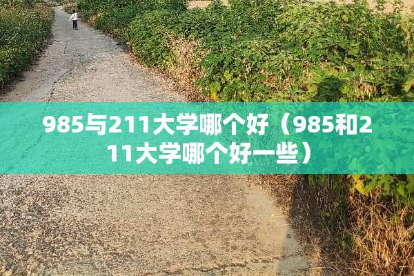 985与211大学哪个好（985和211大学哪个好一些）