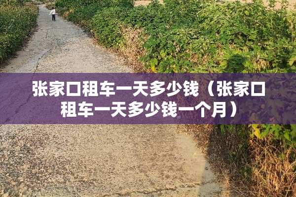 张家口租车一天多少钱（张家口租车一天多少钱一个月）