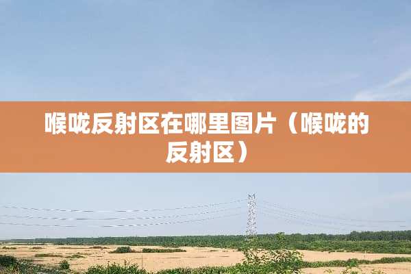 喉咙反射区在哪里图片（喉咙的反射区）