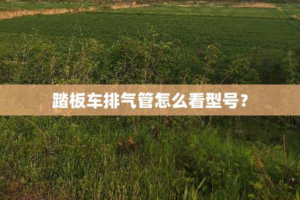 踏板车排气管怎么看型号？
