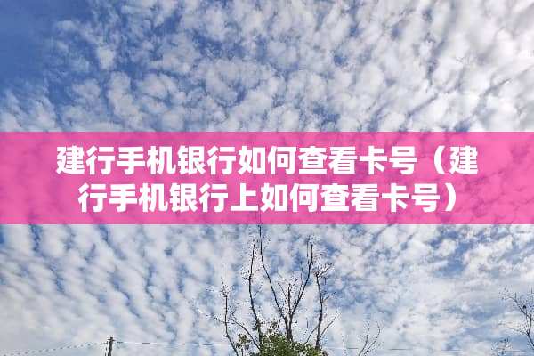 建行手机银行如何查看卡号（建行手机银行上如何查看卡号）