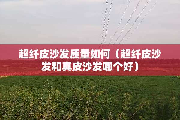 超纤皮沙发质量如何（超纤皮沙发和真皮沙发哪个好）
