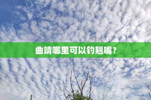 曲靖哪里可以钓翘嘴？