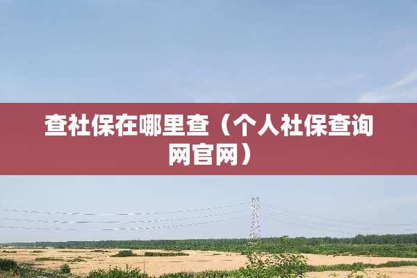 查社保在哪里查（个人社保查询网官网）