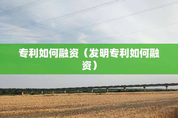 专利如何融资（发明专利如何融资）
