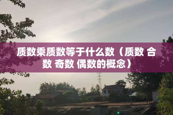 质数乘质数等于什么数（质数 合数 奇数 偶数的概念）