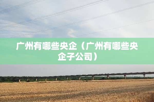 广州有哪些央企（广州有哪些央企子公司）