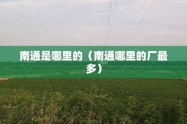 南通是哪里的（南通哪里的厂最多）