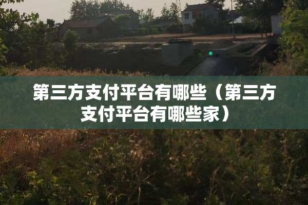第三方支付平台有哪些（第三方支付平台有哪些家）