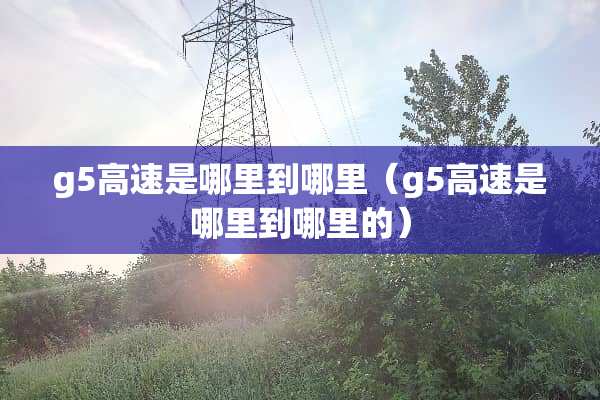 g5高速是哪里到哪里（g5高速是哪里到哪里的）